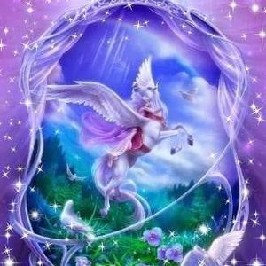 Meet your Posher, Nikaila